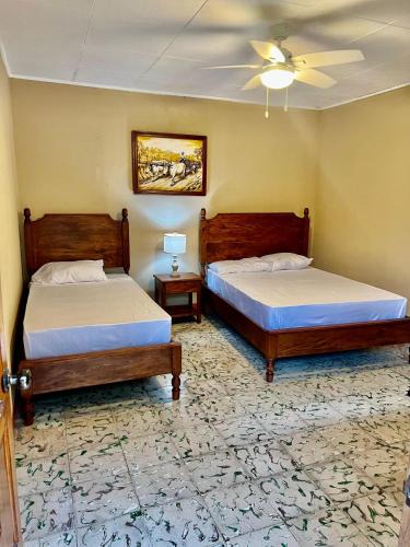 Leon House | Casa Mestiza