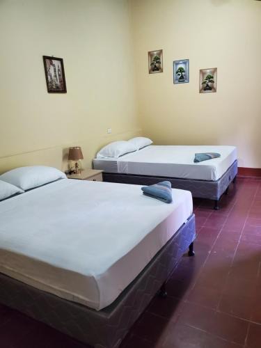 Leon House | El Sol Hostel