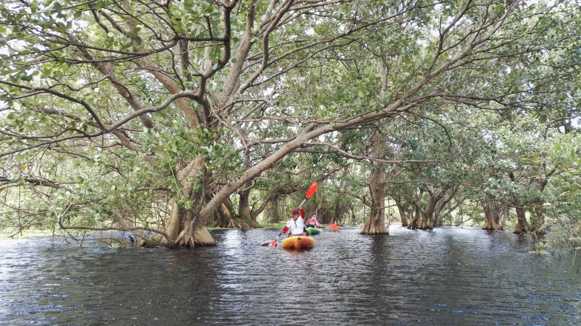 Ometepe Island Hostel | Hostel ∙ 8 guests