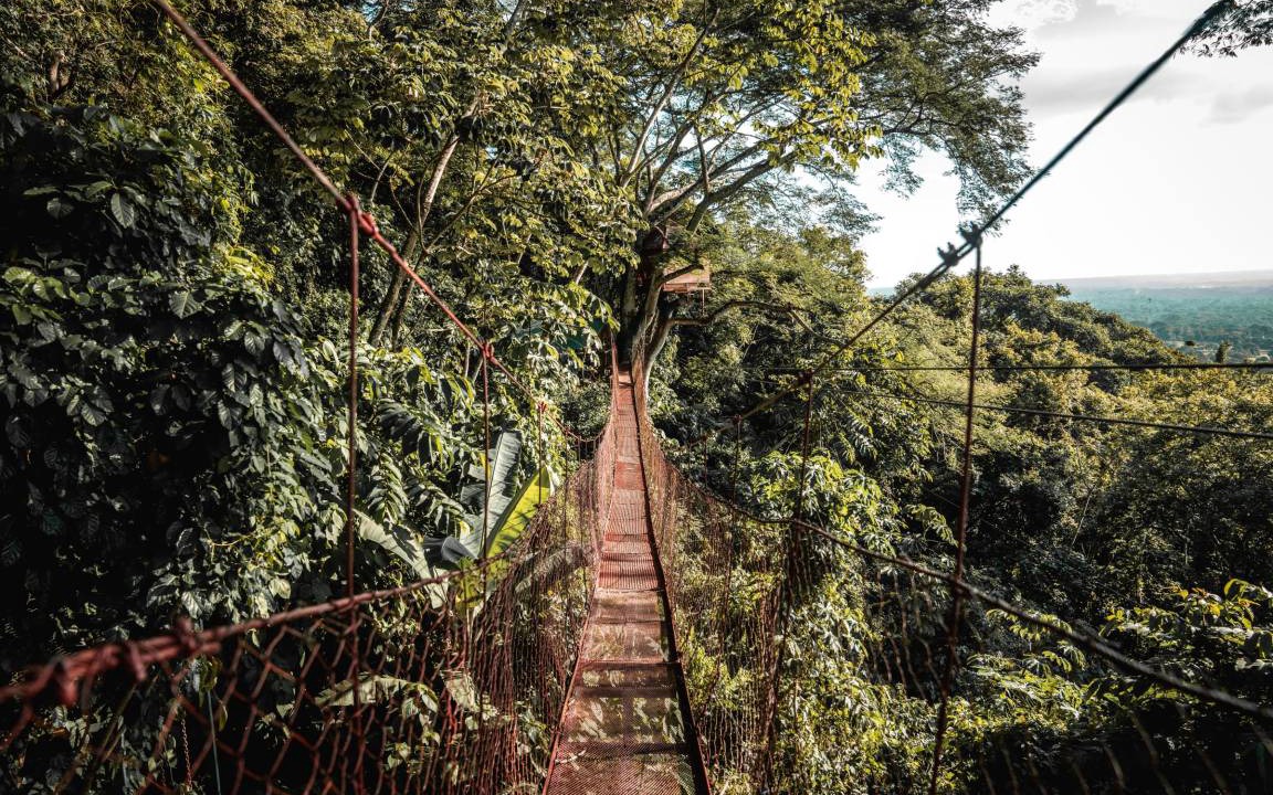 Mombacho Volcano Nature Reserve Hostel | Hostel ∙ 8 guests