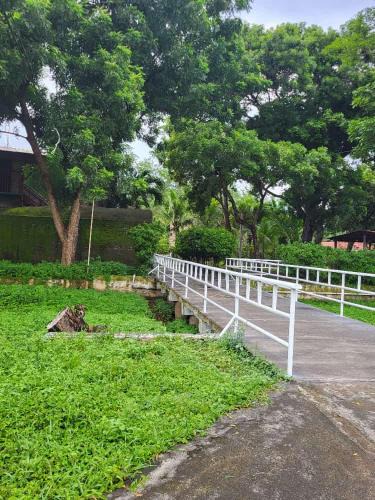Ometepe Island Hotel | Hotel Museo El Ceibo