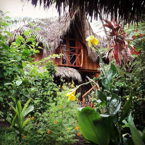 Balgue Hostel | La Urraca Loca Hostel