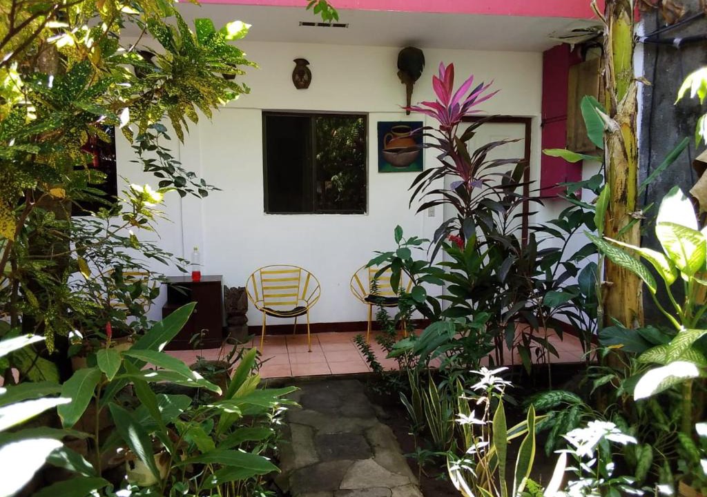 Granada Bed & Breakfast | Museito de Carlos