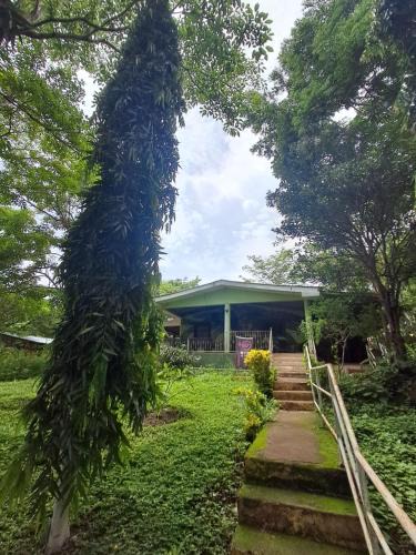Santa Cruz Hostel | Roots hostel & Camping Ometepe