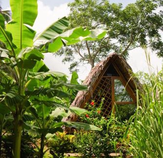 Santa Cruz Cabin | Dragon's Garden