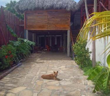 Puerto Sandino Hostel | Hostal La Cueva del Grifo Loco surf&Bikers