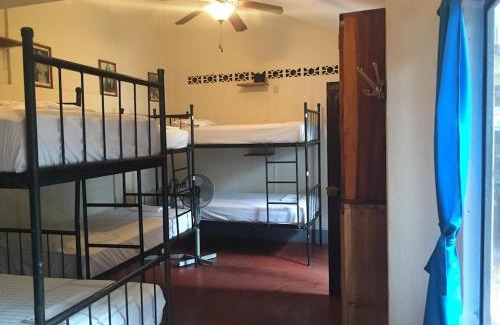 Leon Hostel | Hostal La Tortuga Booluda