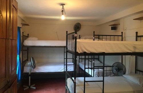 Leon Hostel | Hostal La Tortuga Booluda