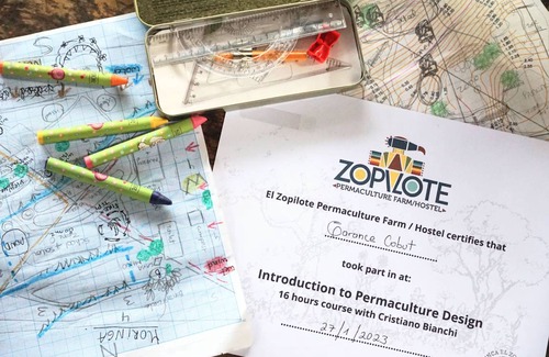 Santa Cruz Hostel | Hostel ∙ 8 guests