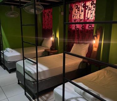 Leon House | Madroño Hostel