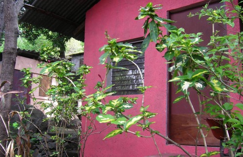 La Laguna House | Motel ∙ 8 guests