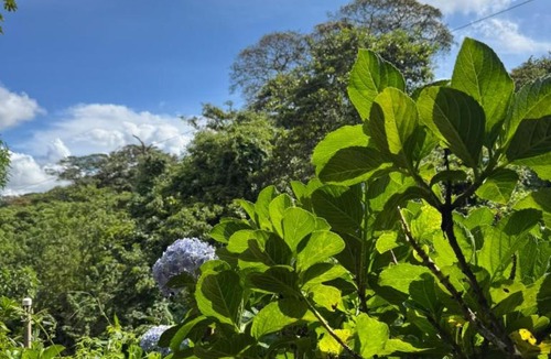 El Crucero House | Casa Las Nubes, El Crucero Managua