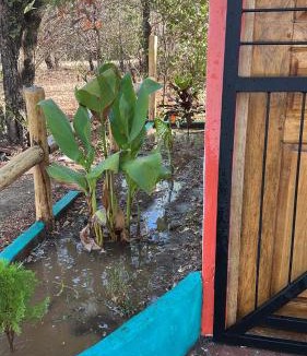 Las Penitas Apartment | Casa Tamarindo