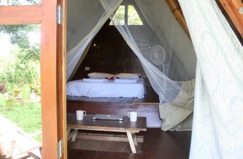 Santa Cruz Cabin | Dragon's Garden