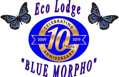 Santa Cruz Cabin | Ecolodge Blue Morpho