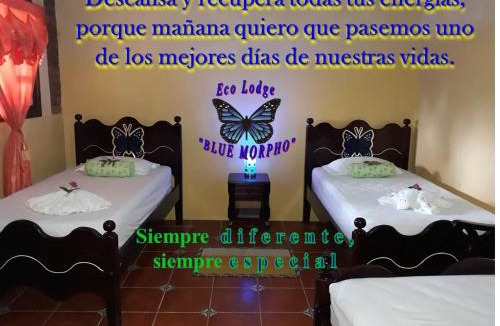 Santa Cruz Cabin | Ecolodge Blue Morpho