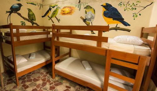 Matagalpa Hostel | Estación Biológica Agualí