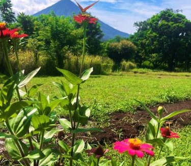 Santa Cruz Apartment | Finca Aisa -Boutique bungalows in Ometepe island