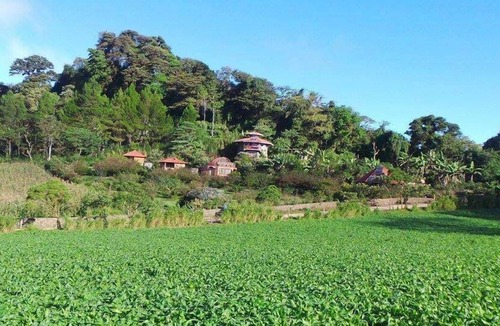 Puertas Azules Hotel | Finca Neblina del Bosque