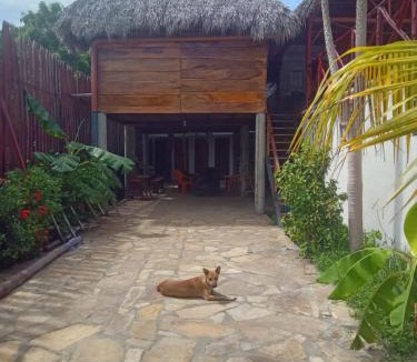 Puerto Sandino Hostel | Hostal La Cueva del Grifo Loco surf&Bikers