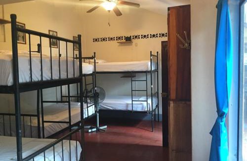 Leon Hostel | Hostal La Tortuga Booluda
