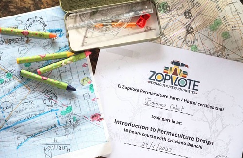 Santa Cruz Hostel | Hostel ∙ 8 guests