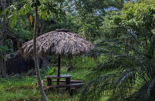 Santa Cruz Hostel | Hostel ∙ 8 guests