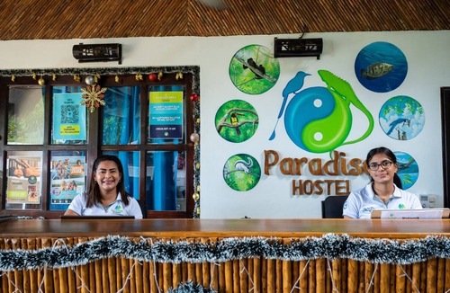 Catarina Hostel | Hostel ∙ 8 guests