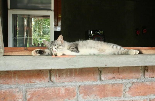 Ometepe Island Hostel | Hostel ∙ 8 guests