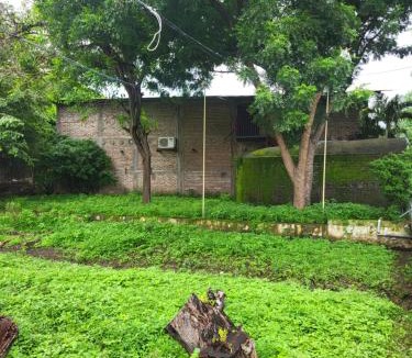 Ometepe Island Hotel | Hotel Museo El Ceibo