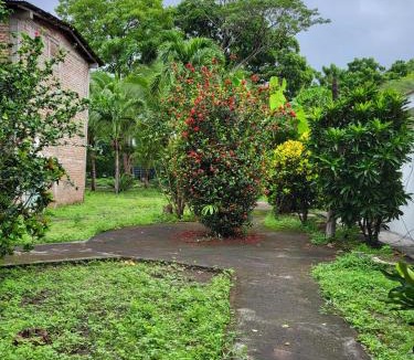 Ometepe Island Hotel | Hotel Museo El Ceibo
