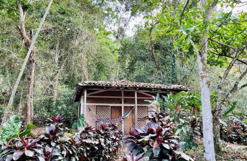 Matagalpa Bed & Breakfast | Jungle Cabins El Escondido