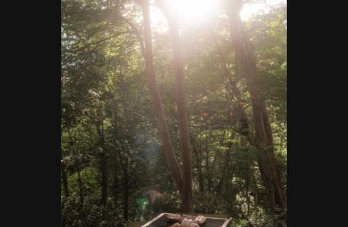 San Juan del Sur House | Jungle Surf Shack at Playa Maderas