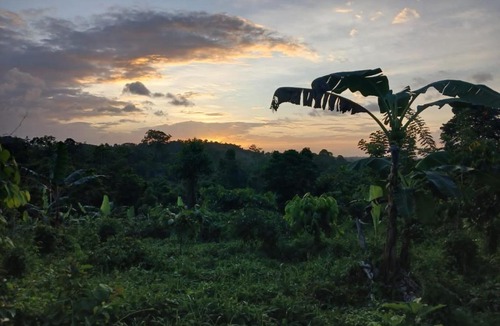 El Castillo House | La Mariola - Finca Agroecológica