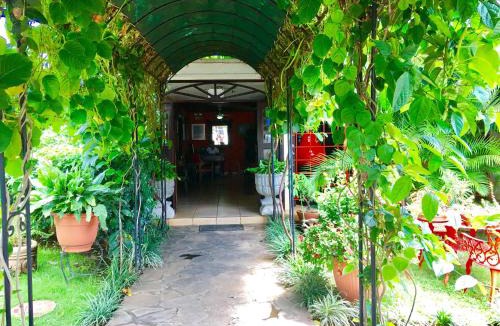 Managua Bed & Breakfast | La Posada del Arcangel