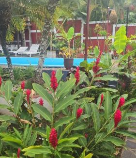 San Juan de Oriente House | La serenidad 1