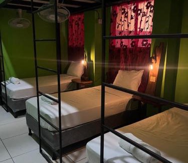 Leon House | Madroño Hostel