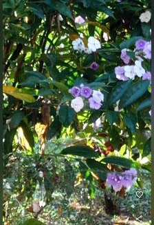 Esteli Hotel | Matagalpa LAND OF DREAMS