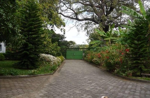 Managua Villa | Modern House in Managua Suburbs, Within a Lush Garden Setting.
