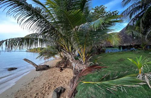 Little Corn Island Other | Natural Suites ENSUEÑOS Natural Reserve