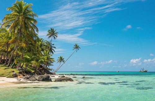 Little Corn Island Other | Natural Suites ENSUEÑOS Natural Reserve