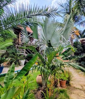 Las Penitas Hotel | Nuevo NAYAL