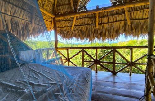 El Transito Other | Palapa Host
