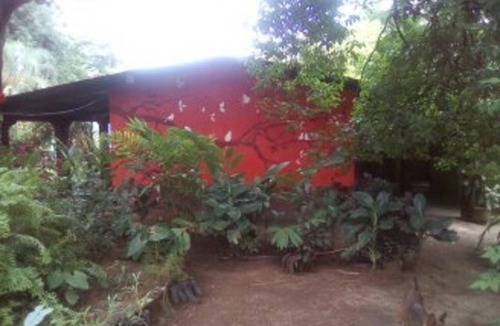 Ocotal Resort | Private room ∙ 4 guests