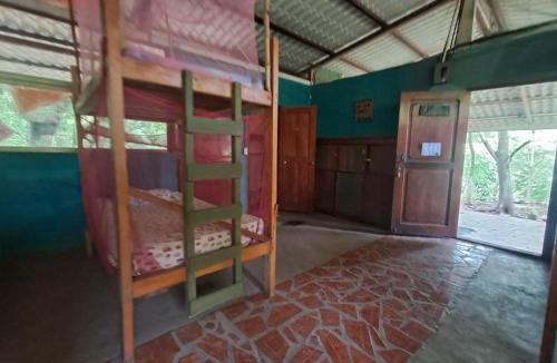Santa Cruz Hostel | Roots hostel & Camping Ometepe