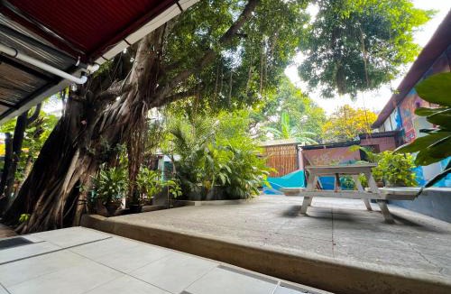 Las Pampas Hostel | Surf Town Hostel