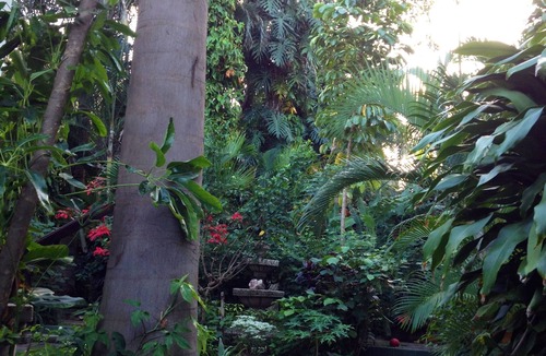 Managua Villa | The Artist's Garden, Charming 2BR Casita And Studio