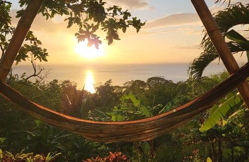 Merida Cabin | The Jungle Lodge