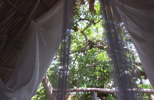 Granada Bed & Breakfast | Tree Nest Luxury Camp Mombacho volcano view w/canopy terrace. Private island
