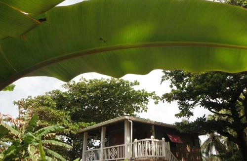 Corn Island House | Treehouse Apartment at La Lodge at Long Bay